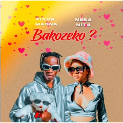 Bakozeko By Fixon Magna