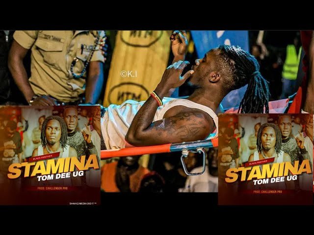 Stamina by TomDee