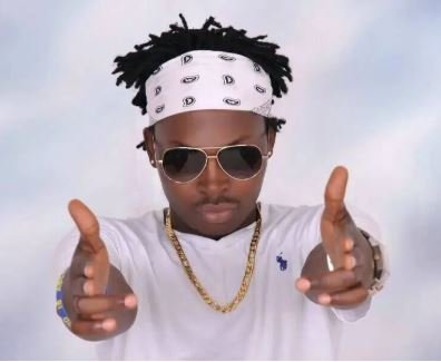 Muliro By Master Parrot